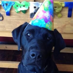 Meet your Posher, Jan